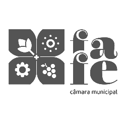 imag cidade fafe