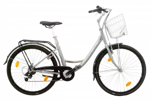 Bicicleta Neiva convencional